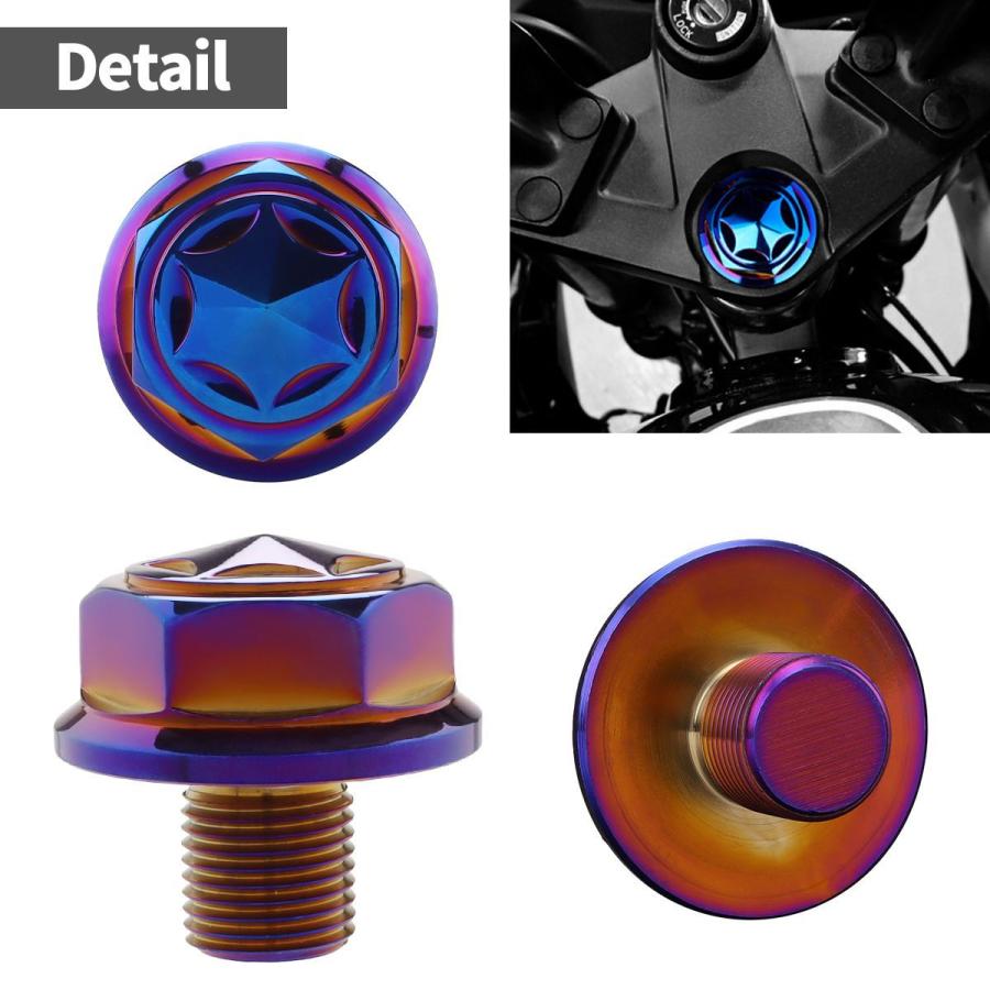 ステアリング ステムボルト M16 P1.50 スターヘッド SUSステンレス 焼チタンカラー TH0161 | ブランド登録なし | 01