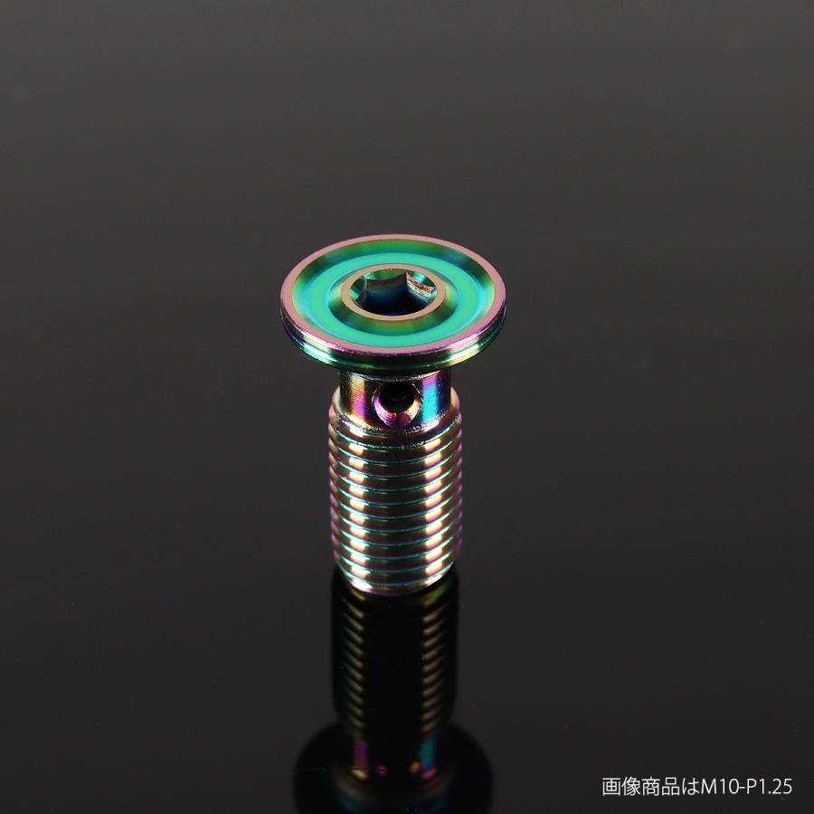 バンジョーボルト ステンレス M10 P1.0 シングル フラットヘッド マットレインボー TH0239 | ブランド登録なし | 01