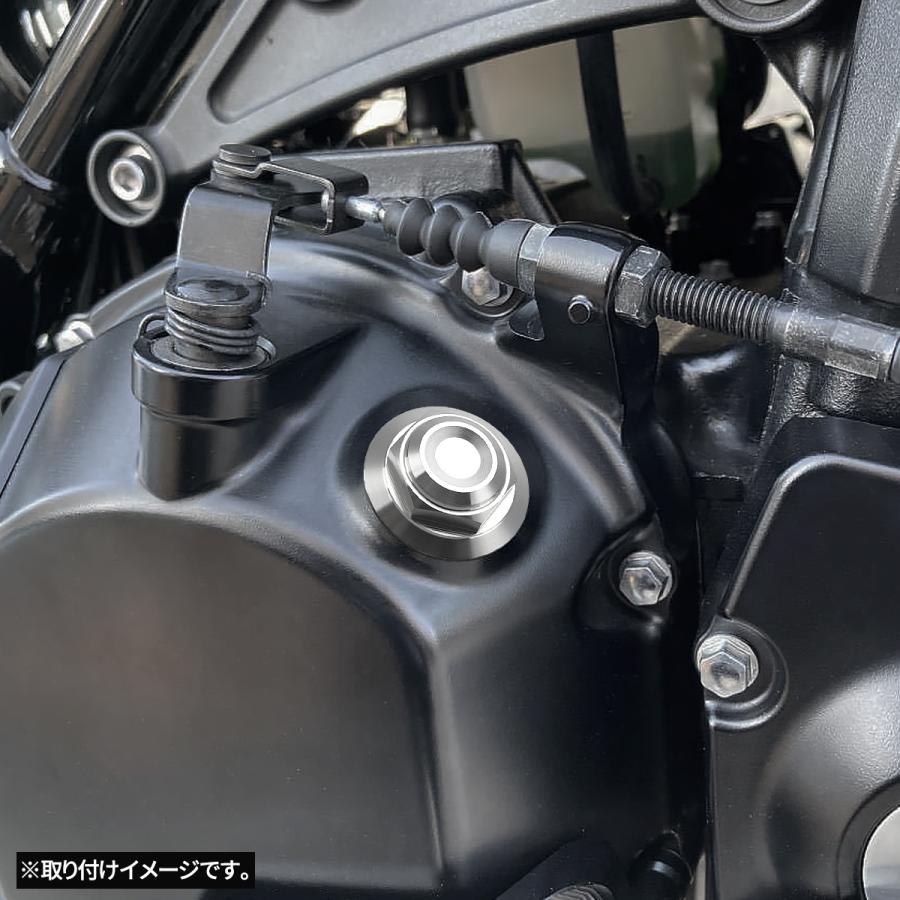 オイルフィラーキャップ M20×P2.5mm 六角 ヘキサゴンヘッド SUS304ステンレス マットタイプ シルバー 汎用 ホンダ カワサキ スズキ ヤマハ ドゥカティ TH0266 | カワサキ | 01