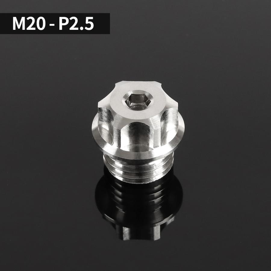 オイルフィラーキャップ M20×P2.5mm 六角穴付き SUS304ステンレス マットタイプ シルバー 汎用 ホンダ カワサキ スズキ ヤマハ ドゥカティ TH0274 | ホンダ | 02