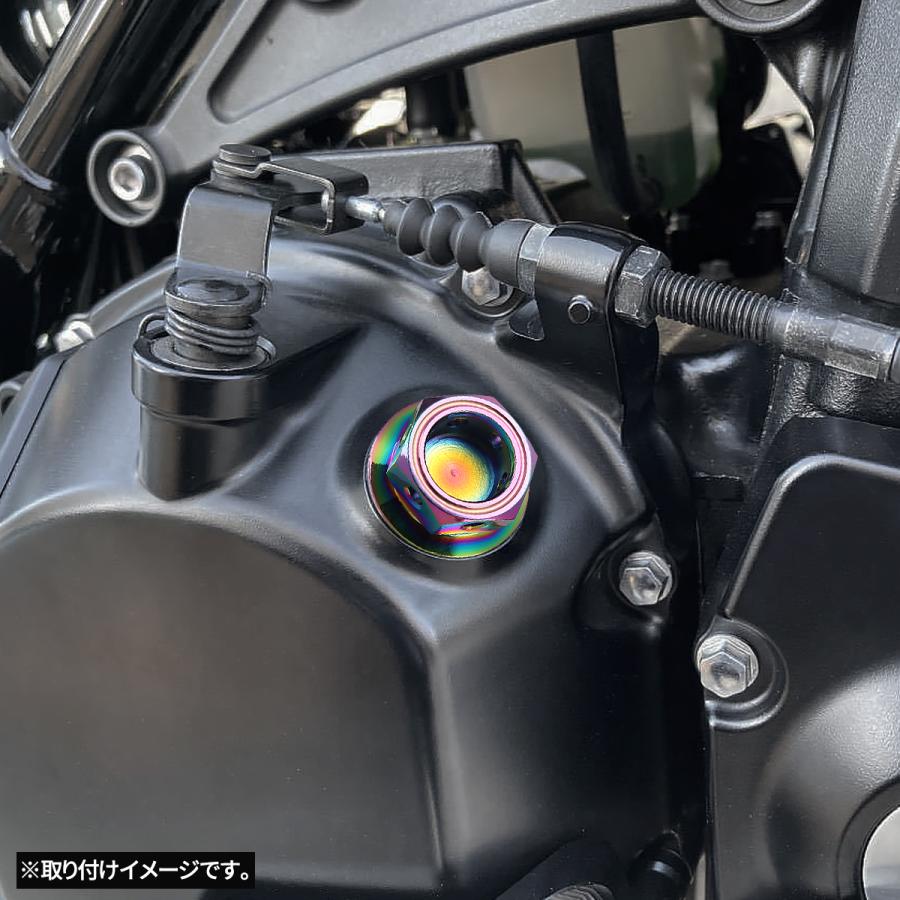 オイルフィラーキャップ M20×P2.5mm ヘキサゴンヘッド SUS304ステンレス レインボー チタンカラー 汎用 ホンダ カワサキ スズキ ヤマハ ドゥカティ TH0244 | カワサキ | 01