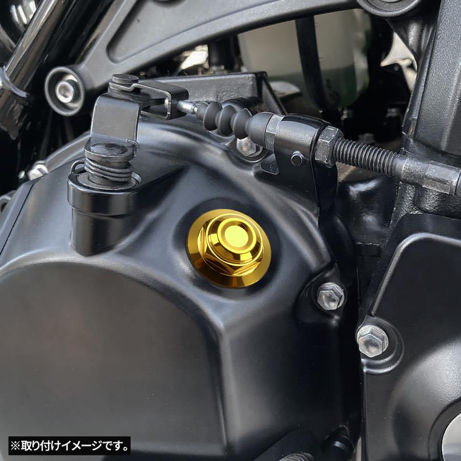 オイルフィラーキャップ M20×P2.5mm 六角 ヘキサゴンヘッド SUS304ステンレス ゴールド 汎用 ホンダ カワサキ スズキ ヤマハ ドゥカティ TH0483 | カワサキ | 01