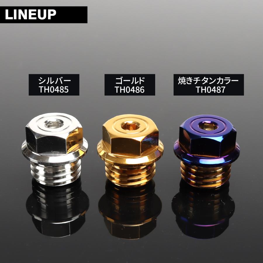 オイルフィラーキャップ M20×P2.5mm ヘキサゴンヘッド 六角穴付き SUS304ステンレス シルバー 汎用 ホンダ カワサキ スズキ ヤマハ ドゥカティ TH0485 | ホンダ | 04