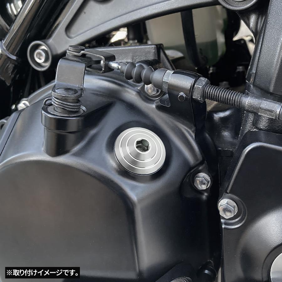 オイルフィラーキャップ M20×P2.5mm 六角穴付き SUS304ステンレス マットタイプ シルバー 汎用 ホンダ カワサキ スズキ ヤマハ ドゥカティ TH0491 | カワサキ | 01