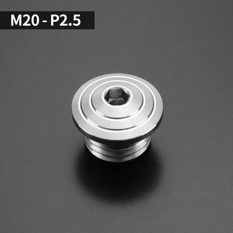 オイルフィラーキャップ M20×P2.5mm 六角穴付き SUS304ステンレス マットタイプ シルバー 汎用 ホンダ カワサキ スズキ ヤマハ ドゥカティ TH0491 | カワサキ | 02