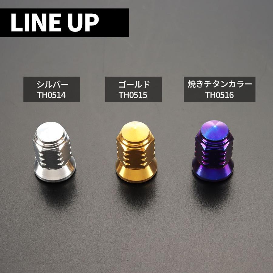 エアバルブキャップ タイヤ バルブキャップ 2個入り ステップホール