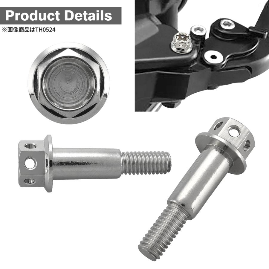 バイク ハンドル レバーボルト ピボットボルト Φ8×10mm M6×13mm