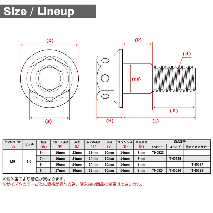バイク ハンドル レバーボルト ピボットボルト Φ8×17mm M6×13mm ステンレス 焼きチタンカラー TH0528 | ブランド登録なし | 01
