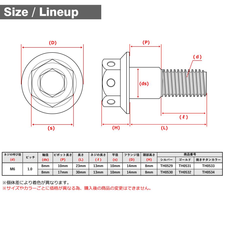 バイク ハンドル レバーボルト ピボットボルト Φ8×17mm M6×13mm ステンレス ゴールドカラー TH0532 | ブランド登録なし | 01