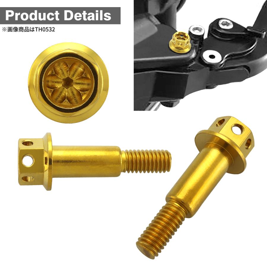 バイク ハンドル レバーボルト ピボットボルト Φ8×17mm M6×13mm ステンレス ゴールドカラー TH0532 | ブランド登録なし | 02