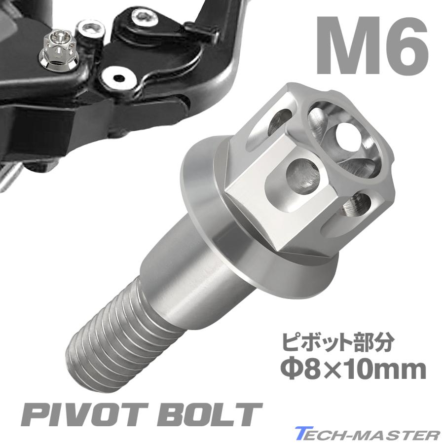バイク ハンドル レバーボルト ピボットボルト Φ8×10mm M6×13mm ステンレス シルバーカラー TH0535 | ブランド登録なし