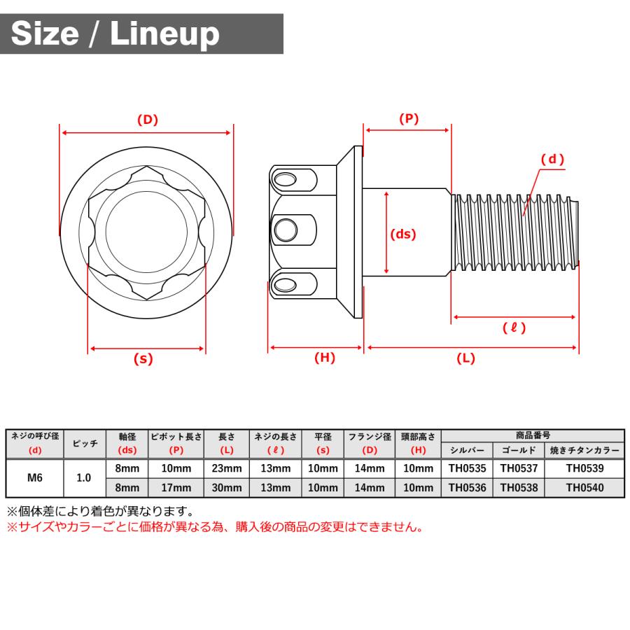 バイク ハンドル レバーボルト ピボットボルト Φ8×10mm M6×13mm
