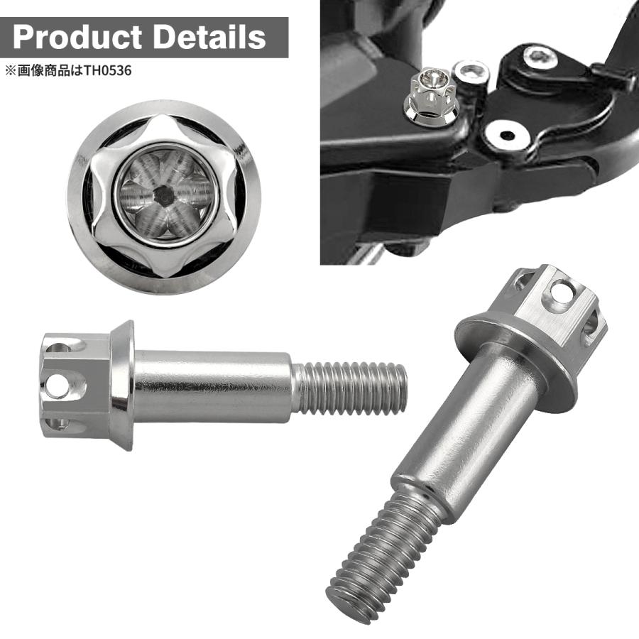 バイク ハンドル レバーボルト ピボットボルト Φ8×10mm M6×13mm ステンレス シルバーカラー TH0535 | ブランド登録なし | 02
