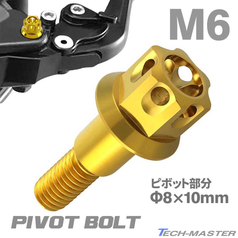 バイク ハンドル レバーボルト ピボットボルト F8 10mm M6 13mm ステンレス ゴールドカラー Th0537 正規品販売