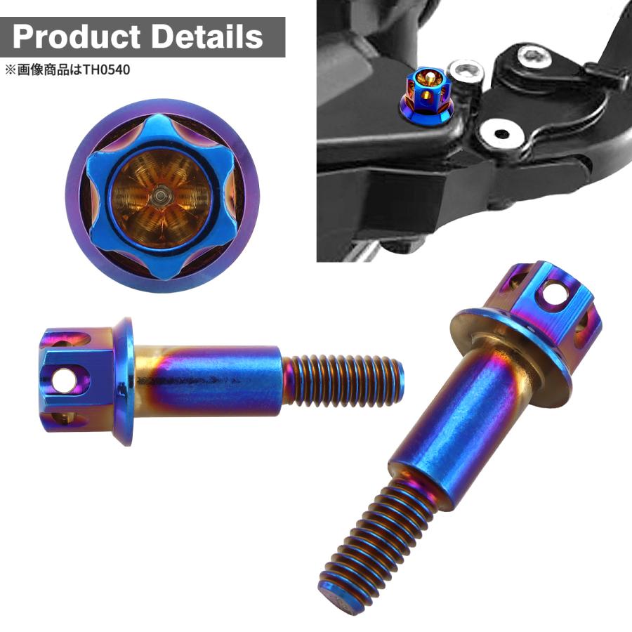 バイク ハンドル レバーボルト ピボットボルト Φ8×17mm M6×13mm