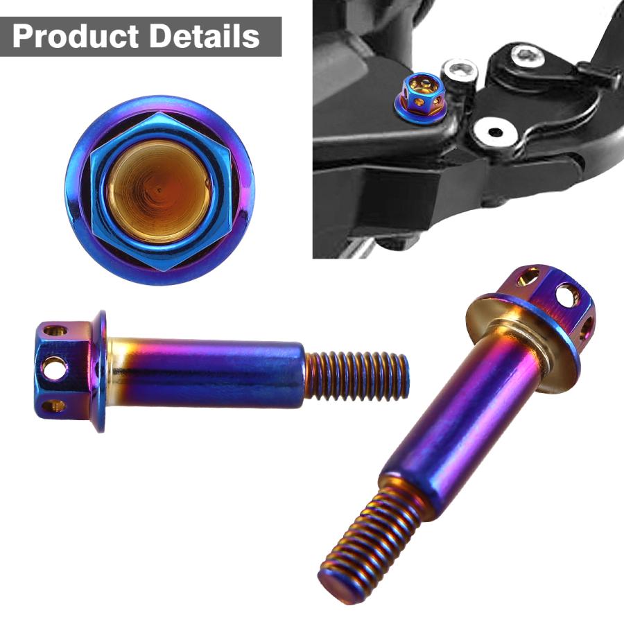 バイク ハンドル レバーボルト ピボットボルト 2個セット Φ8×22mm M6