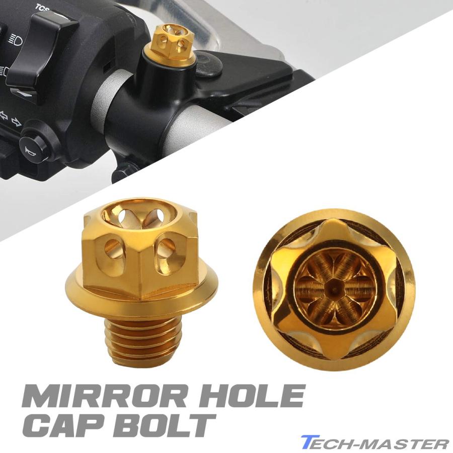 ミラーホールキャップ 正ネジ M10×10mm P1.25 2個セット ホンダ車用