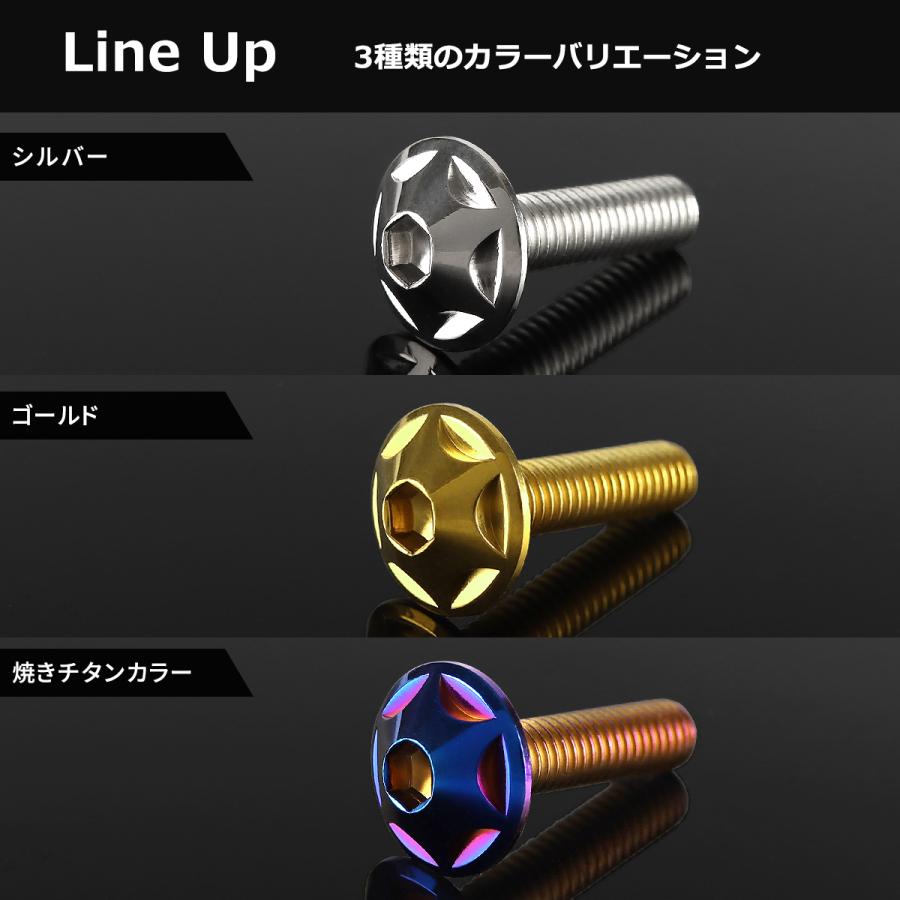 ステンレスボルト M6×15mm P1.0 ボタンボルト スターヘッド シルバーカラー TR0010 | TECHーMASTER | 04