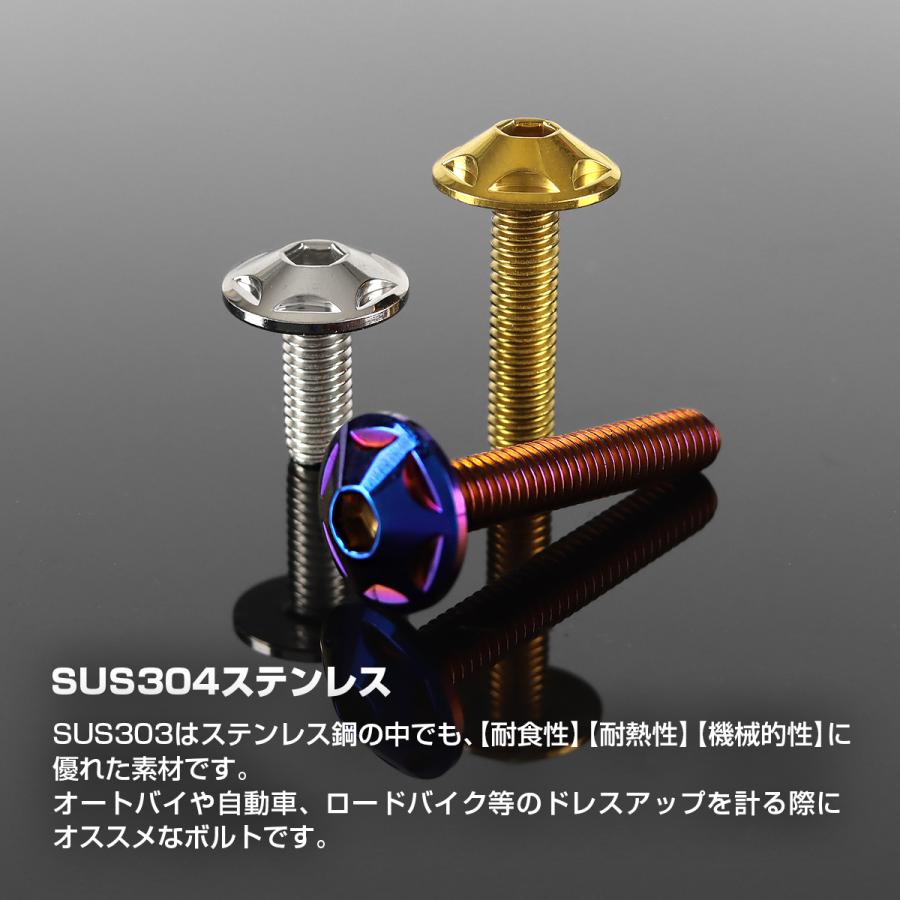ステンレスボルト M5×12mm P0.8 ボタンボルト スターヘッド 焼きチタンカラー TR0032 | TECHーMASTER | 02