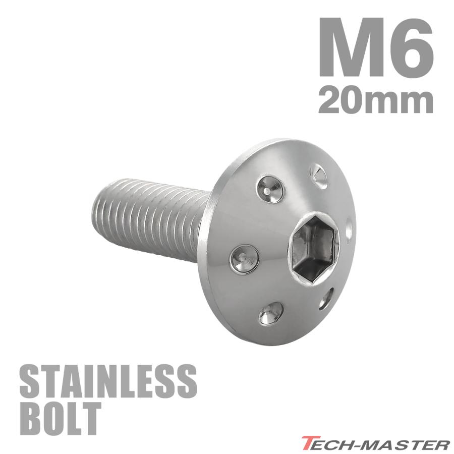 ステンレスボルト M6×20mm P1.0 ボタンボルト ホールヘッド シルバーカラー TR0053 | TECHーMASTER