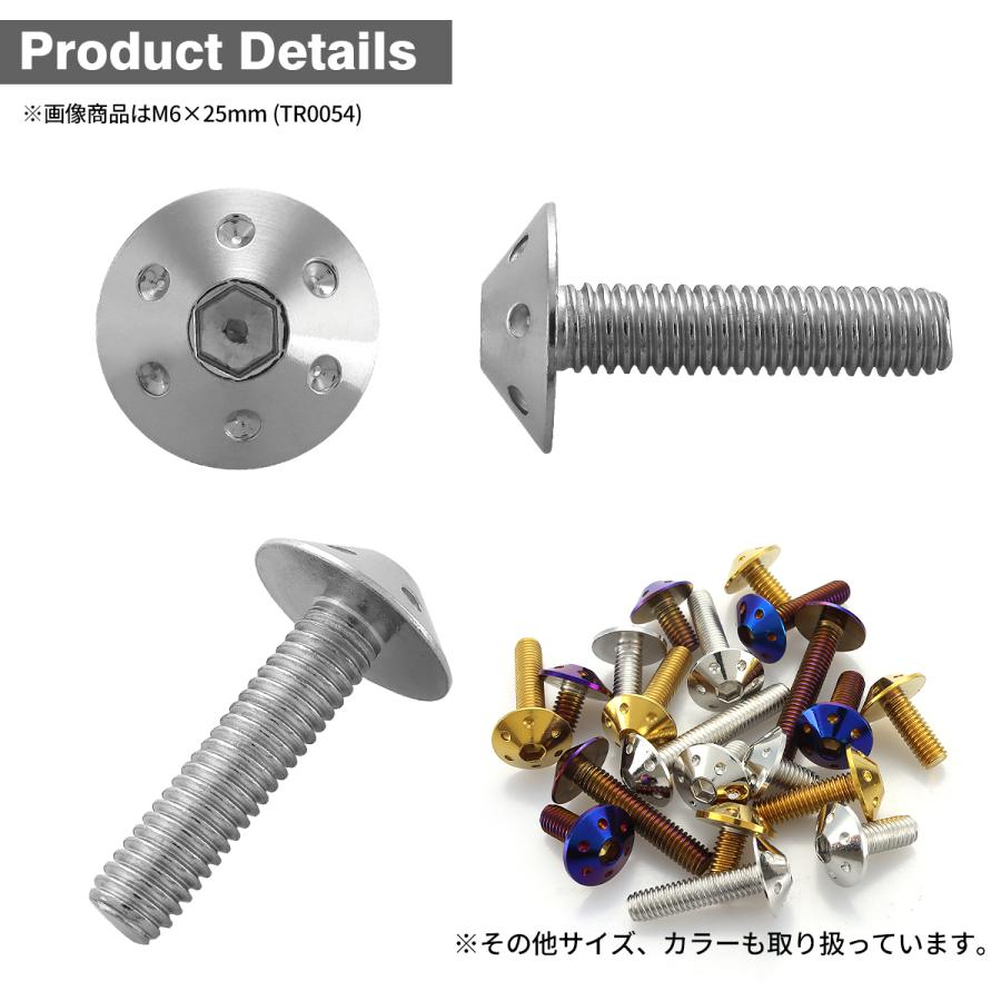 ステンレスボルト M6×20mm P1.0 ボタンボルト ホールヘッド シルバーカラー TR0053 | TECHーMASTER | 02