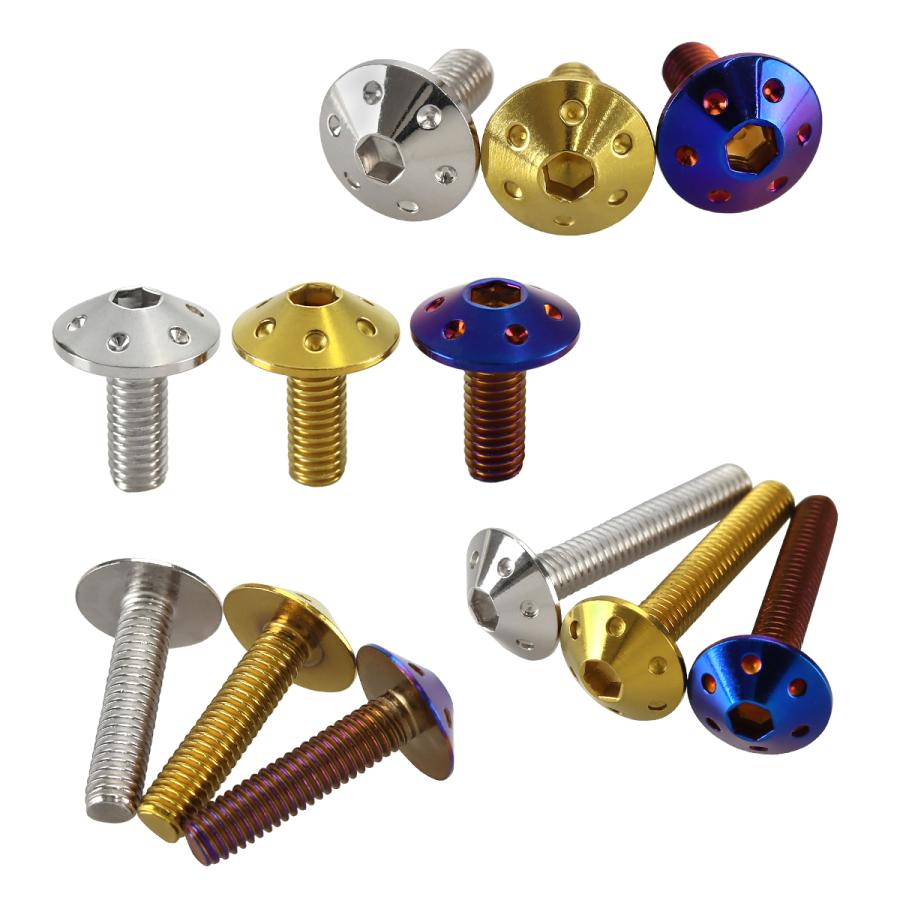 ステンレスボルト M6×20mm P1.0 ボタンボルト ホールヘッド ゴールドカラー TR0067 | TECHーMASTER | 03