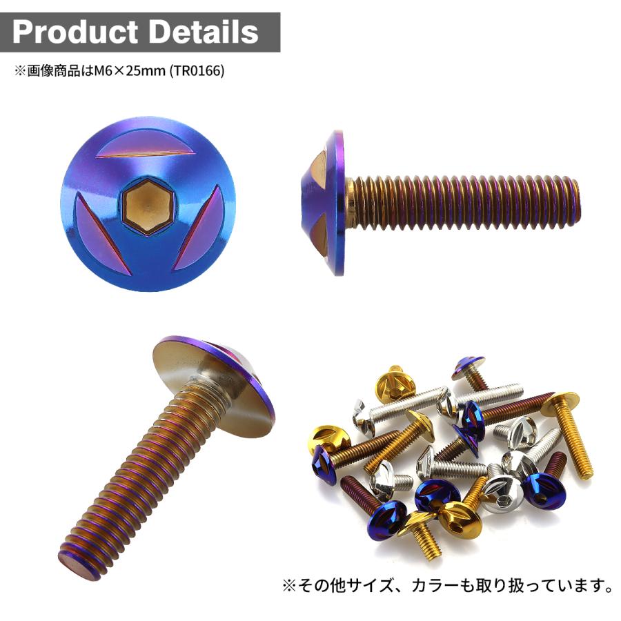 ステンレスボルト M6×20mm P1.0 ボタンボルト トライアングルヘッド 焼きチタンカラー TR0165 | TECHーMASTER | 01