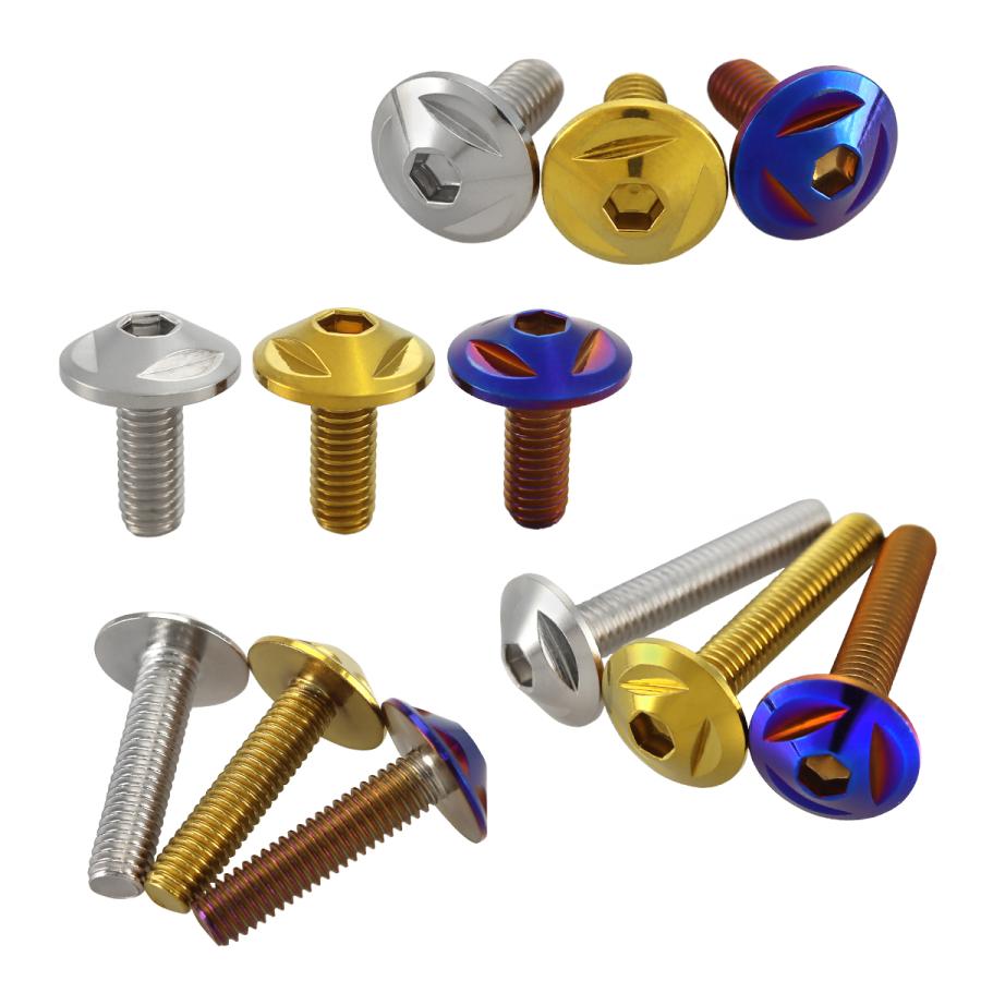 ステンレスボルト M6×20mm P1.0 ボタンボルト トライアングルヘッド 焼きチタンカラー TR0165 | TECHーMASTER | 03