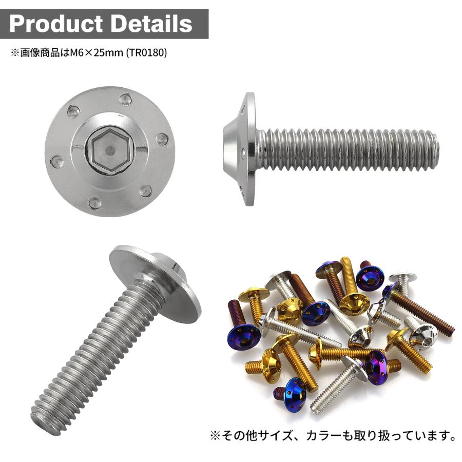 ステンレスボルト M6×20mm P1.0 ボタンボルト ステップホールヘッド シルバーカラー TR0179 | TECHーMASTER | 02