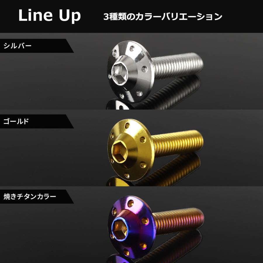 ステンレスボルト M6×20mm P1.0 ボタンボルト ステップホールヘッド シルバーカラー TR0179 | TECHーMASTER | 04