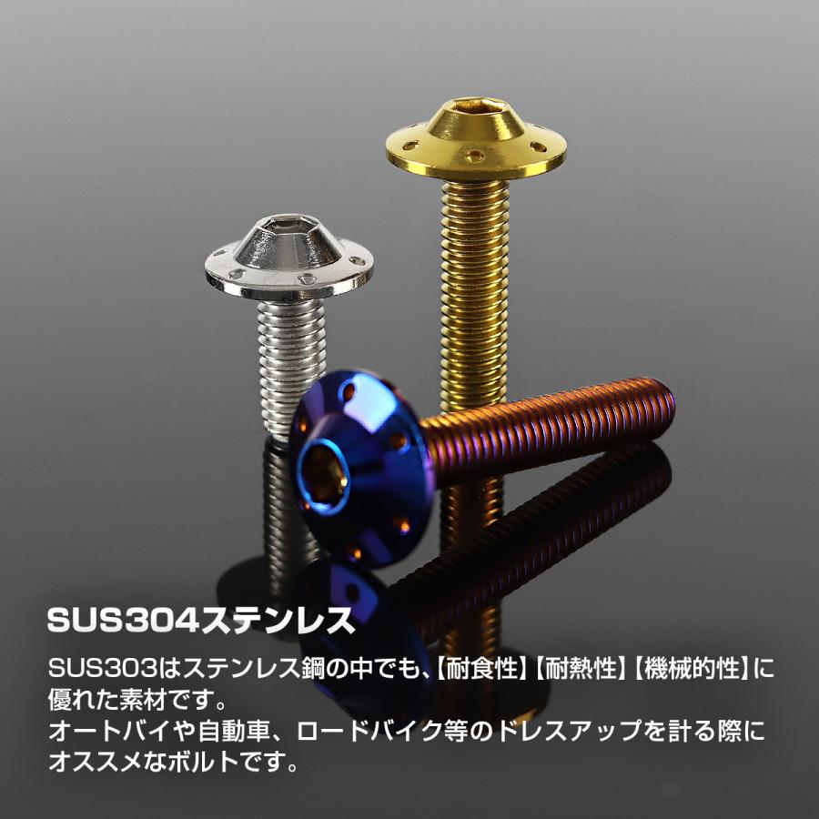 ステンレスボルト M6×20mm P1.0 ボタンボルト ステップホールヘッド ゴールドカラー TR0193 | TECHーMASTER | 02
