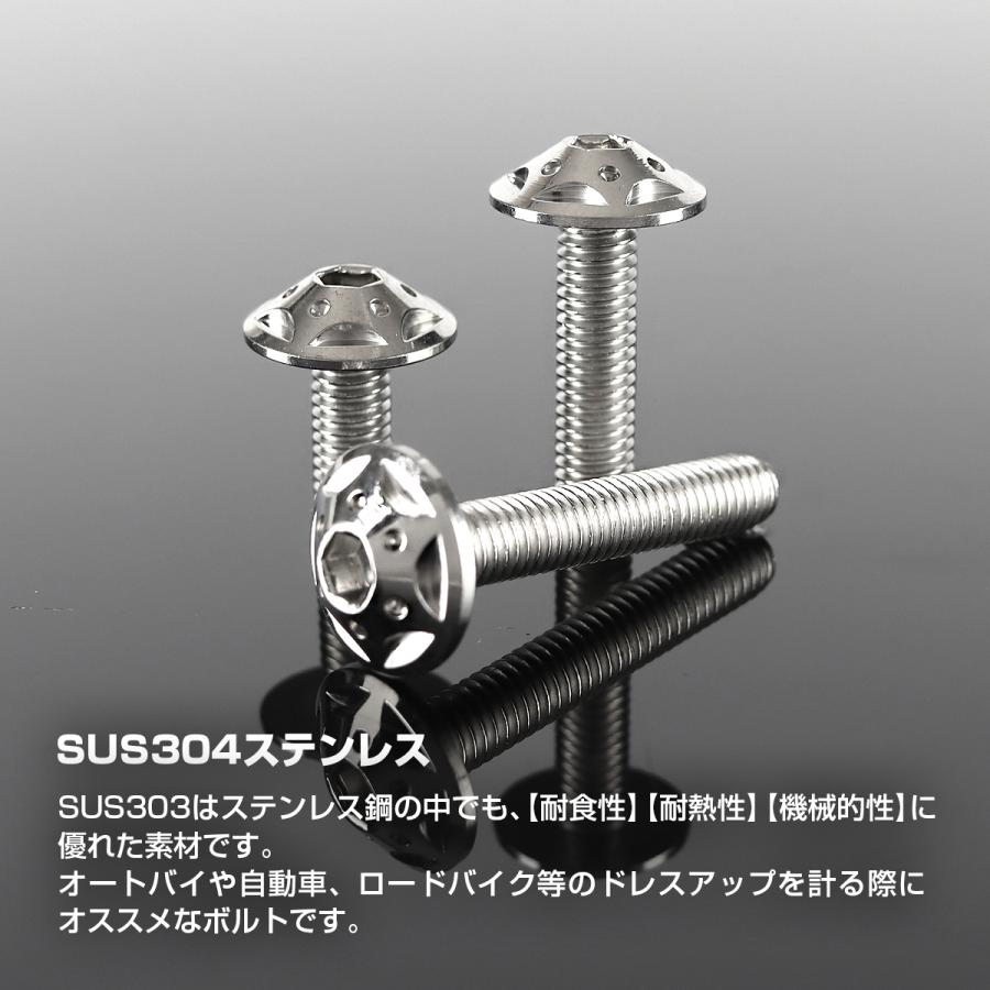 ステンレスボルト M6×12mm P1.0 ボタンボルト スターホールヘッド シルバーカラー TR0219 | TECHーMASTER | 02