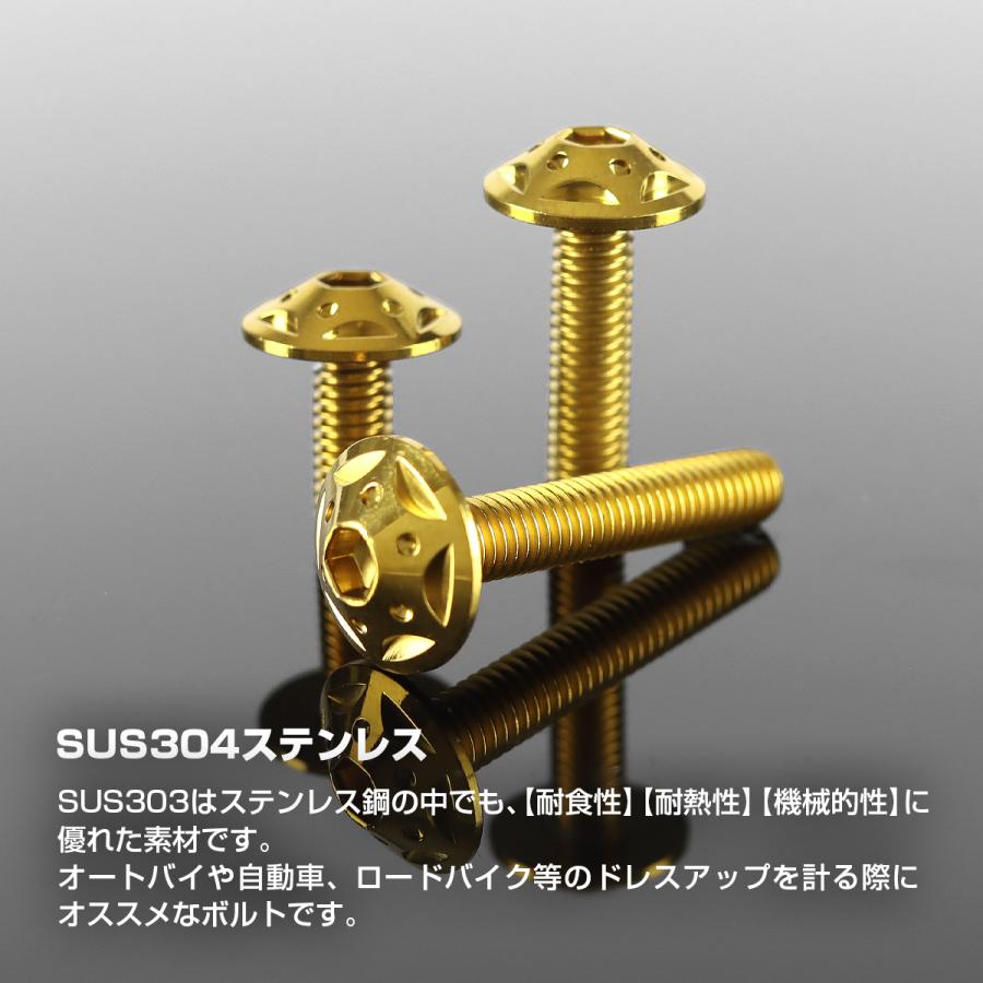ステンレスボルト M6×20mm P1.0 ボタンボルト スターホールヘッド ゴールドカラー TR0235 | TECHーMASTER | 02