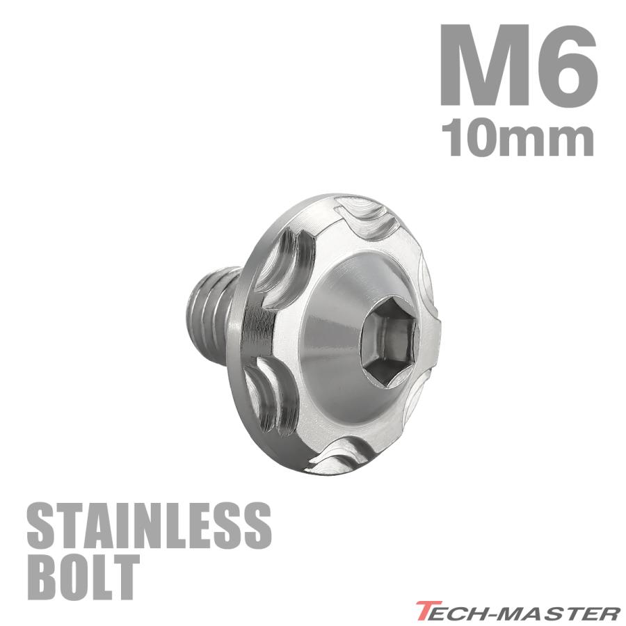 ステンレスボルト M6×10mm P1.0 ボタンボルト スノーヘッド シルバーカラー TR0260 | TECHーMASTER