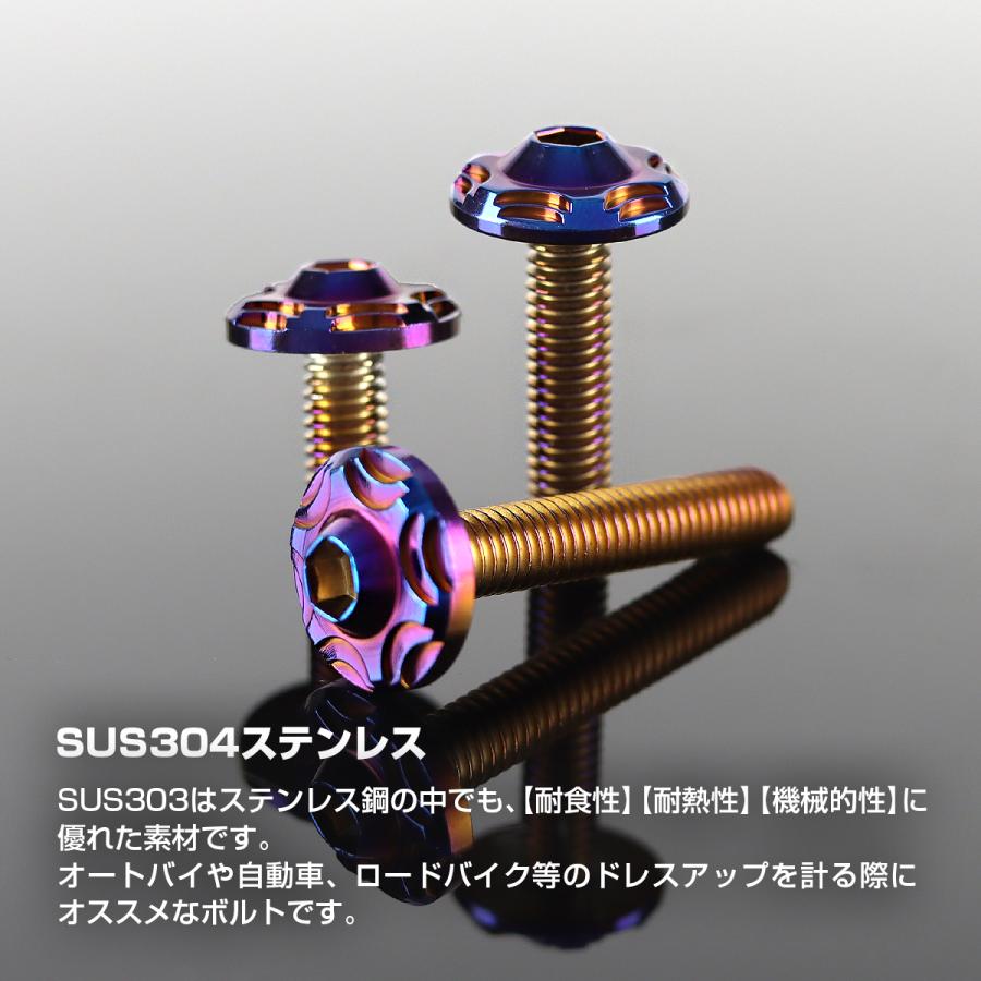 ステンレスボルト M6×20mm P1.0 ボタンボルト スノーヘッド 焼きチタンカラー TR0291 | TECHーMASTER | 01