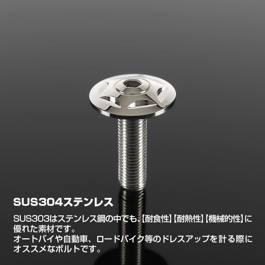 ステンレスボルト M10×35mm P1.25 ボタンボルト ワイドフランジ スターヘッド シルバーカラー TR0301 | TECHーMASTER | 01
