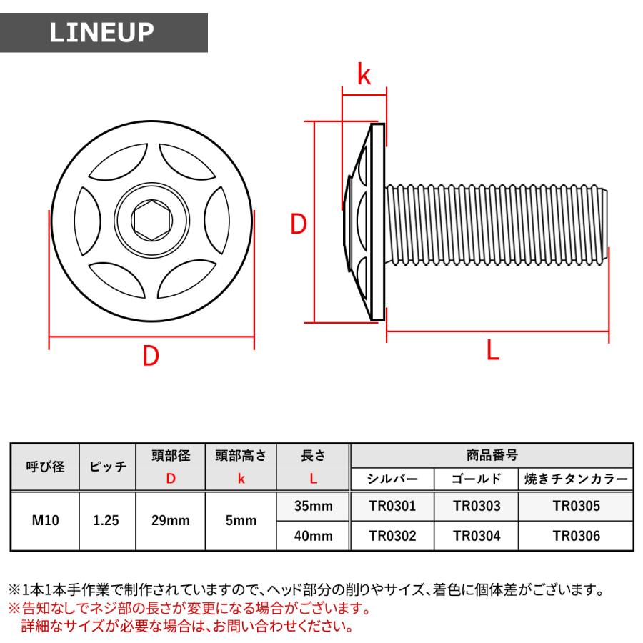 ステンレスボルト M10×35mm P1.25 ボタンボルト ワイドフランジ スターヘッド シルバーカラー TR0301 | TECHーMASTER | 03