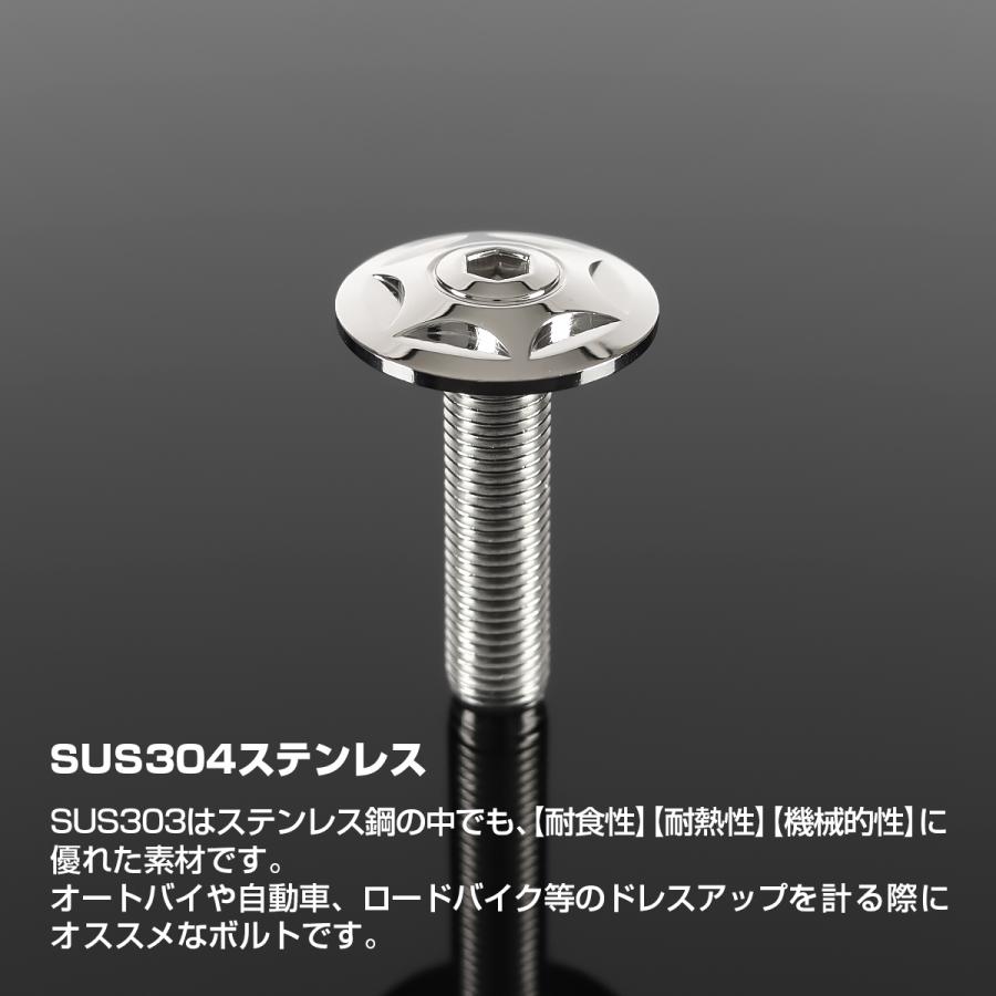 ステンレスボルト M10×40mm P1.25 ボタンボルト ワイドフランジ スターヘッド シルバーカラー TR0302 | TECHーMASTER | 01