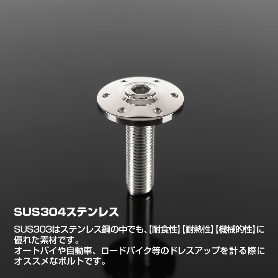 ステンレスボルト M10×35mm P1.25 ボタンボルト ワイドフランジ ホールヘッド シルバーカラー TR0307 | TECHーMASTER | 01