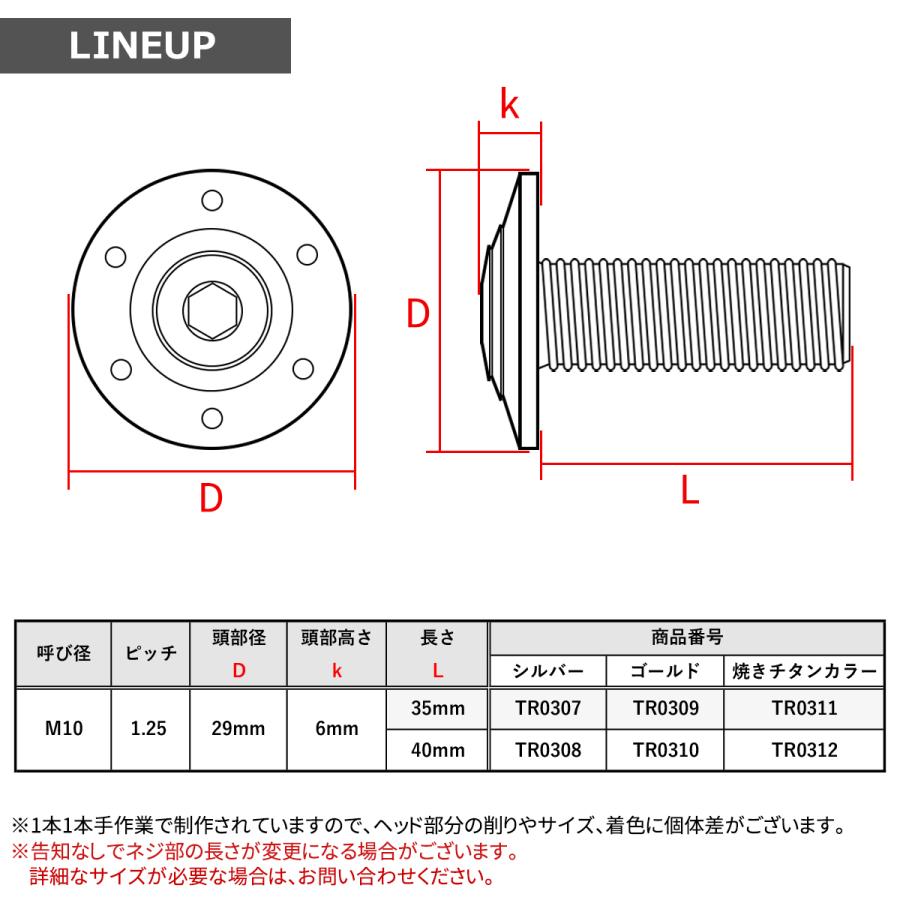 ステンレスボルト M10×35mm P1.25 ボタンボルト ワイドフランジ ホールヘッド シルバーカラー TR0307 | TECHーMASTER | 03