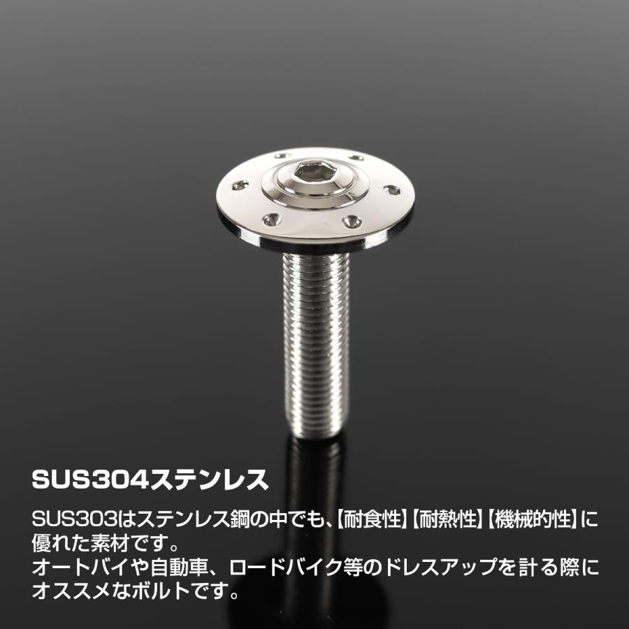 ステンレスボルト M10×40mm P1.25 ボタンボルト ワイドフランジ ホールヘッド シルバーカラー TR0308 | TECHーMASTER | 01