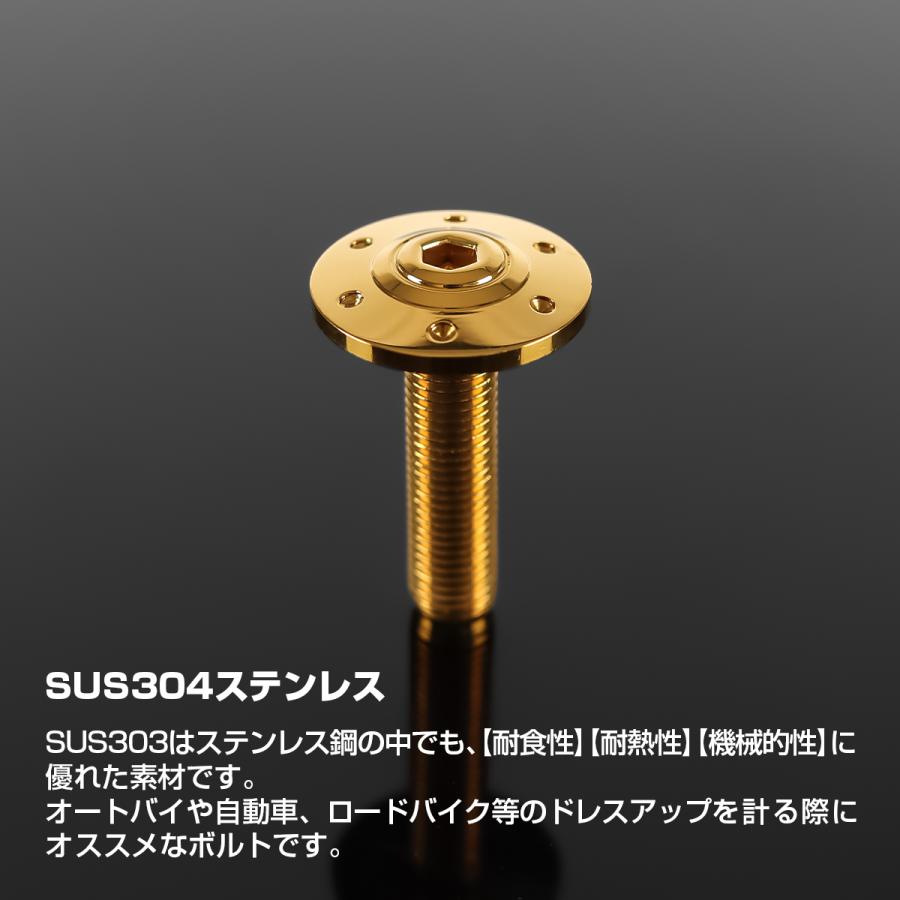 ステンレスボルト M10×40mm P1.25 ボタンボルト ワイドフランジ ホールヘッド ゴールドカラー TR0310 | TECHーMASTER | 01