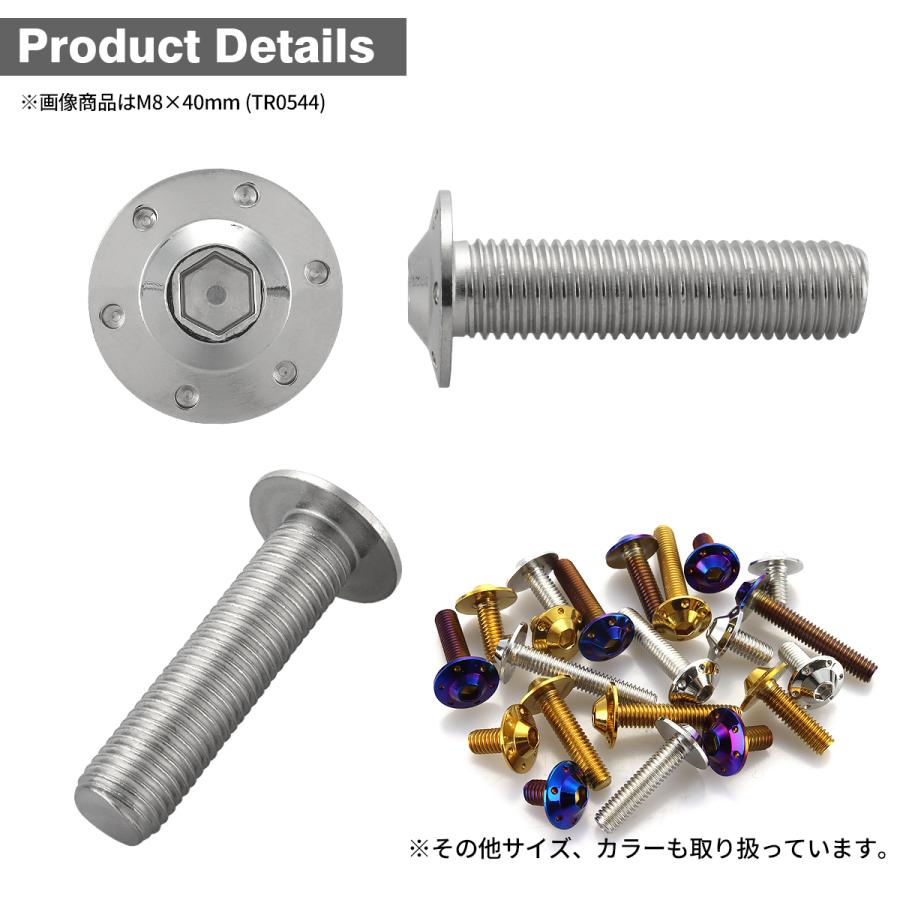 ステンレスボルト M8×20mm P1.25 ボタンボルト ステップホールヘッド シルバーカラー TR0540 | TECHーMASTER | 02