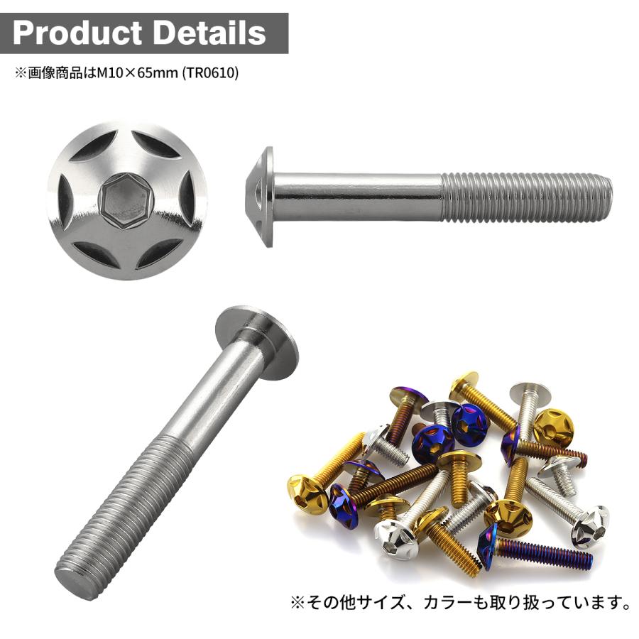 ステンレスボルト M10×60mm P1.25 ボタンボルト スターヘッド シルバーカラー TR0609 | TECHーMASTER | 02