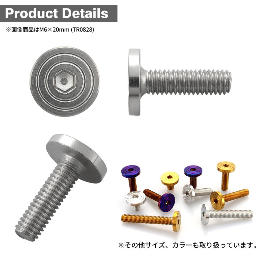 ステンレスボルト M5×10mm P0.8 マットタイプ シェルヘッド フラット シルバーカラー TR0818 | TECHーMASTER | 02