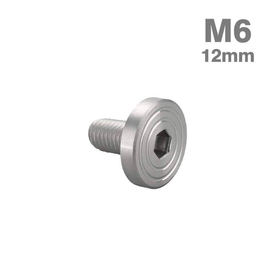 ステンレスボルト M6×12mm P1.0 マットタイプ シェルヘッド フラット シルバーカラー TR0826 | TECHーMASTER