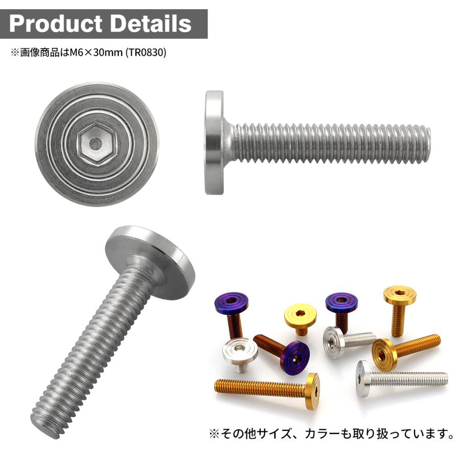 ステンレスボルト M6×30mm P1.0 マットタイプ シェルヘッド フラット シルバーカラー TR0830 | TECHーMASTER | 02