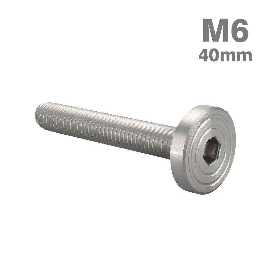 ステンレスボルト M6×40mm P1.0 マットタイプ シェルヘッド フラット シルバーカラー TR0832 | TECHーMASTER