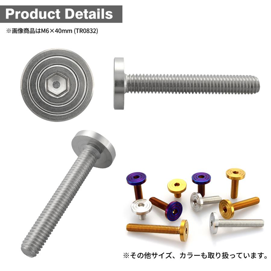 ステンレスボルト M6×40mm P1.0 マットタイプ シェルヘッド フラット シルバーカラー TR0832 | TECHーMASTER | 02