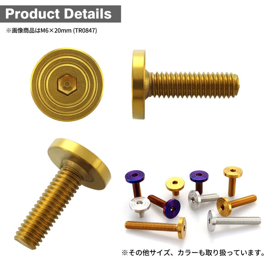ステンレスボルト M4×20mm P0.7 マットタイプ シェルヘッド フラット ゴールドカラー TR0835 | TECHーMASTER | 02